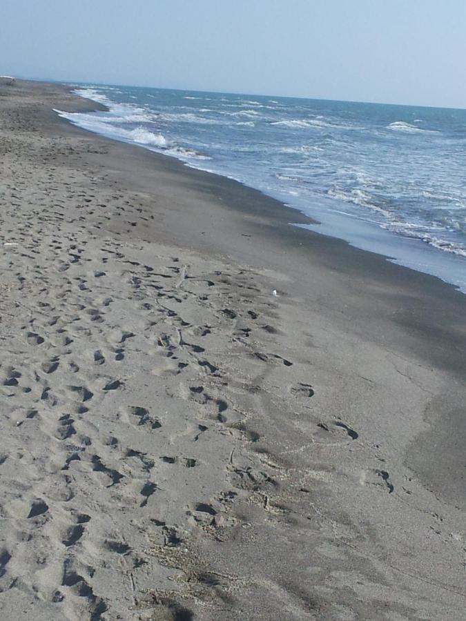 Ccc Holiday Properties Le Vele Ccc Montalto di Castro Buitenkant foto