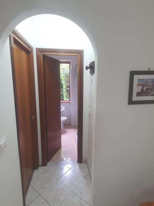 Ccc Holiday Properties Le Vele Ccc Montalto di Castro Buitenkant foto