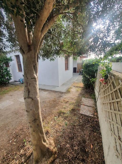 Ccc Holiday Properties Le Vele Ccc Montalto di Castro Buitenkant foto