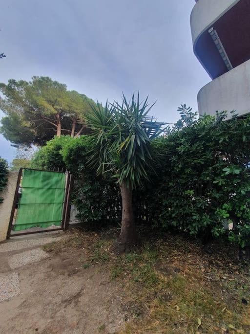 Ccc Holiday Properties Le Vele Ccc Montalto di Castro Buitenkant foto