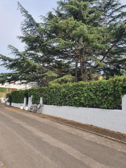 Ccc Holiday Properties Le Vele Ccc Montalto di Castro Buitenkant foto