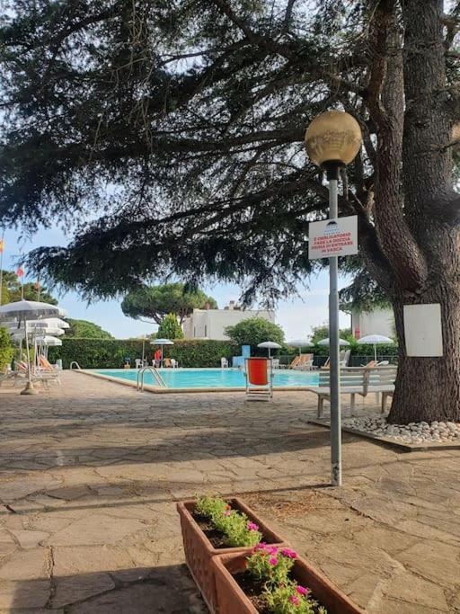 Ccc Holiday Properties Le Vele Ccc Montalto di Castro Buitenkant foto