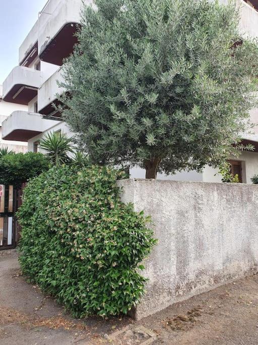 Ccc Holiday Properties Le Vele Ccc Montalto di Castro Buitenkant foto