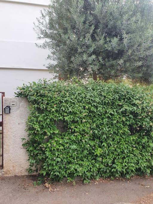 Ccc Holiday Properties Le Vele Ccc Montalto di Castro Buitenkant foto