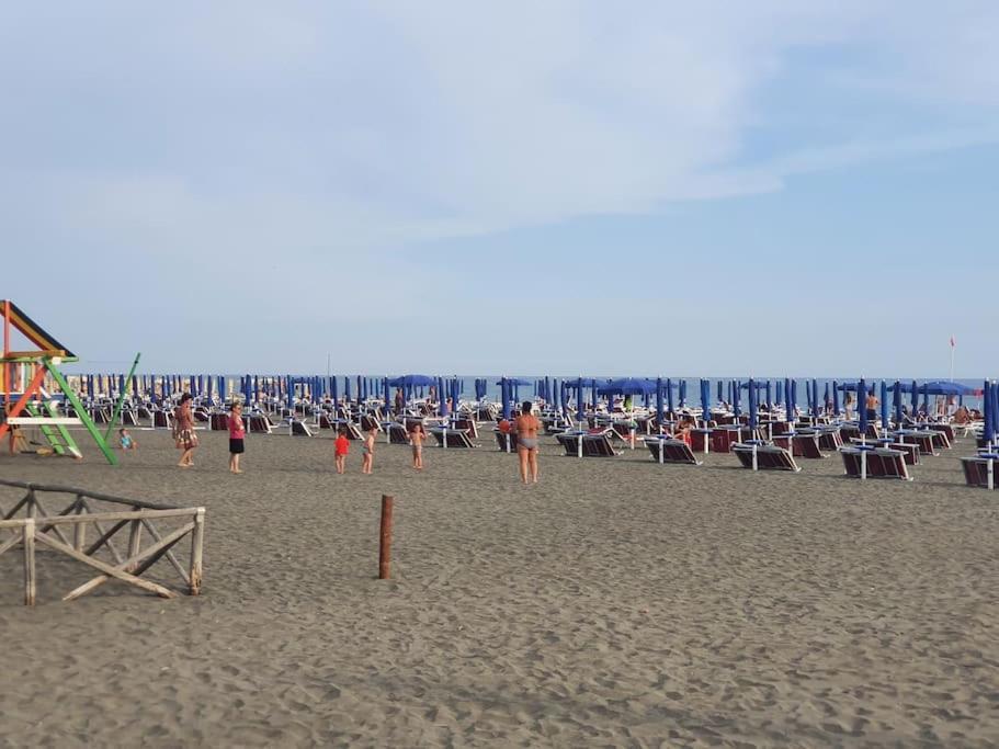 Ccc Holiday Properties Le Vele Ccc Montalto di Castro Buitenkant foto