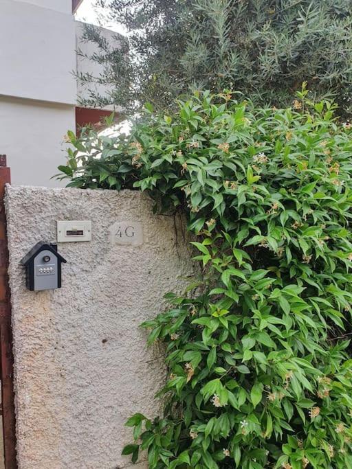 Ccc Holiday Properties Le Vele Ccc Montalto di Castro Buitenkant foto