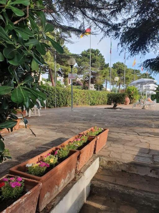 Ccc Holiday Properties Le Vele Ccc Montalto di Castro Buitenkant foto