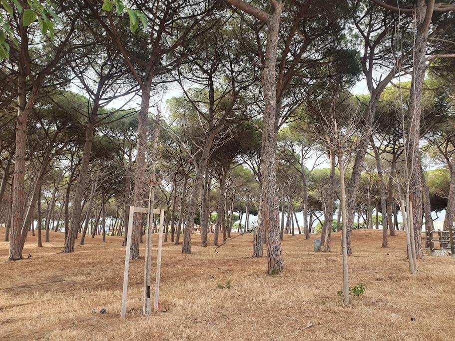 Ccc Holiday Properties Le Vele Ccc Montalto di Castro Buitenkant foto