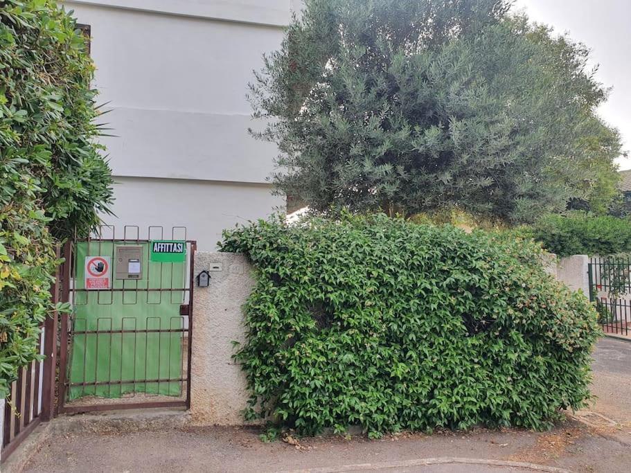Ccc Holiday Properties Le Vele Ccc Montalto di Castro Buitenkant foto